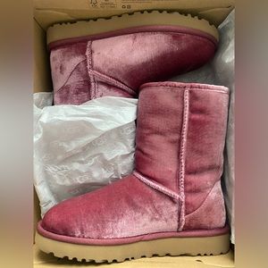 Purple Velvet Uggs - Short